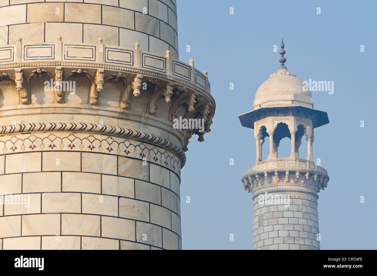Détail de Taj Mahal, UNESCO World Heritage Site, Agra, Uttar Pradesh, Inde, Asie Banque D'Images