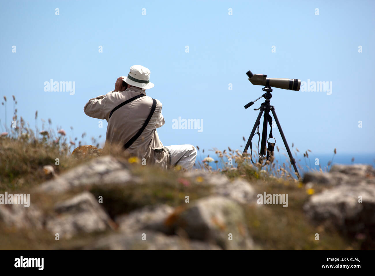 L'observation des oiseaux Twitcher Kynance Cove près de Cornwall Banque D'Images