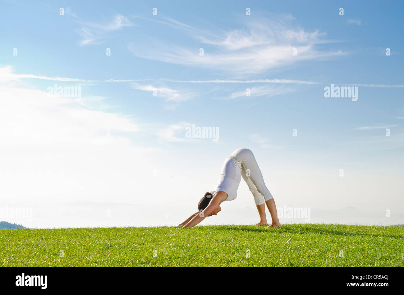 Jeune femme la pratique de l'hatha yoga à l'extérieur, montrant la posture adho mukha shvanasana, chien, pose , République tchèque, de l'Europe Banque D'Images