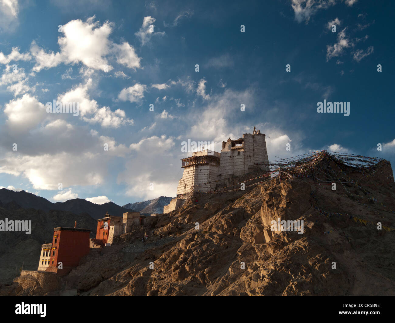 Namgyal Tsemo Gompa, donnant sur Leh, la capitale de l'ancien royaume du Ladakh, Leh, Jammu-et-Cachemire, l'Inde, l'Asie Banque D'Images