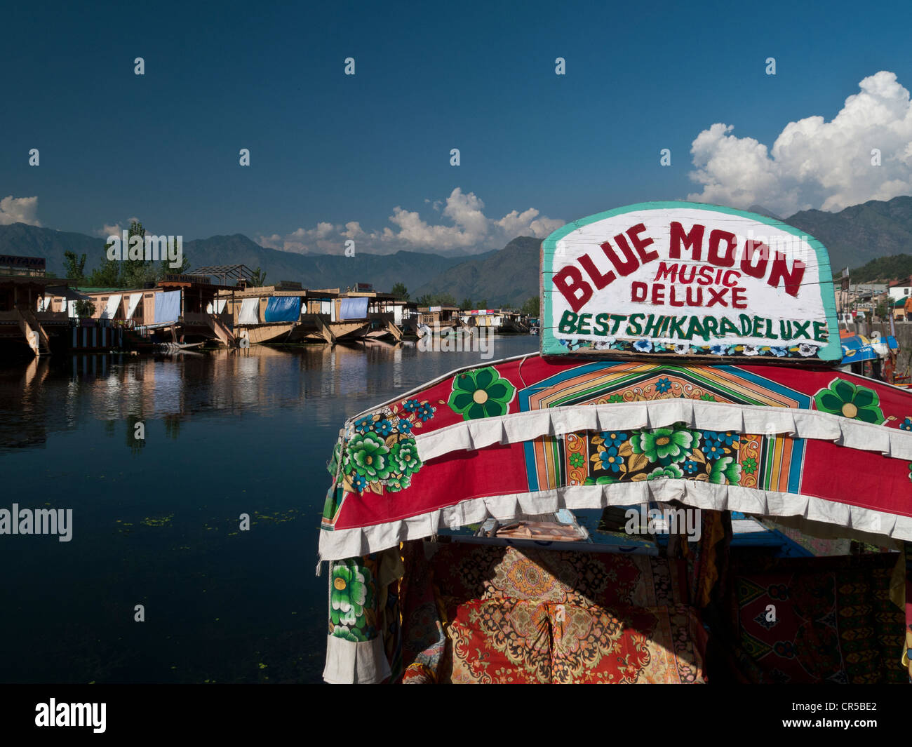 Shikara, bateau traditionnel sur le lac Dal, Srinagar, Jammu-et-Cachemire, l'Inde, l'Asie Banque D'Images