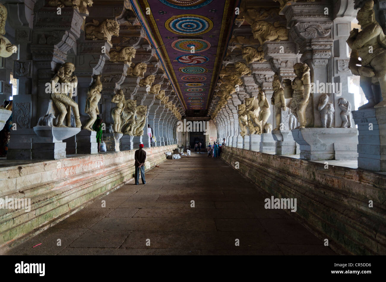 Le Temple Ramanathaswamy à Rameshwaram est un immense labyrinthe de grandes galeries, ici le couloir de 1000 piliers, Tamil Nadu Banque D'Images