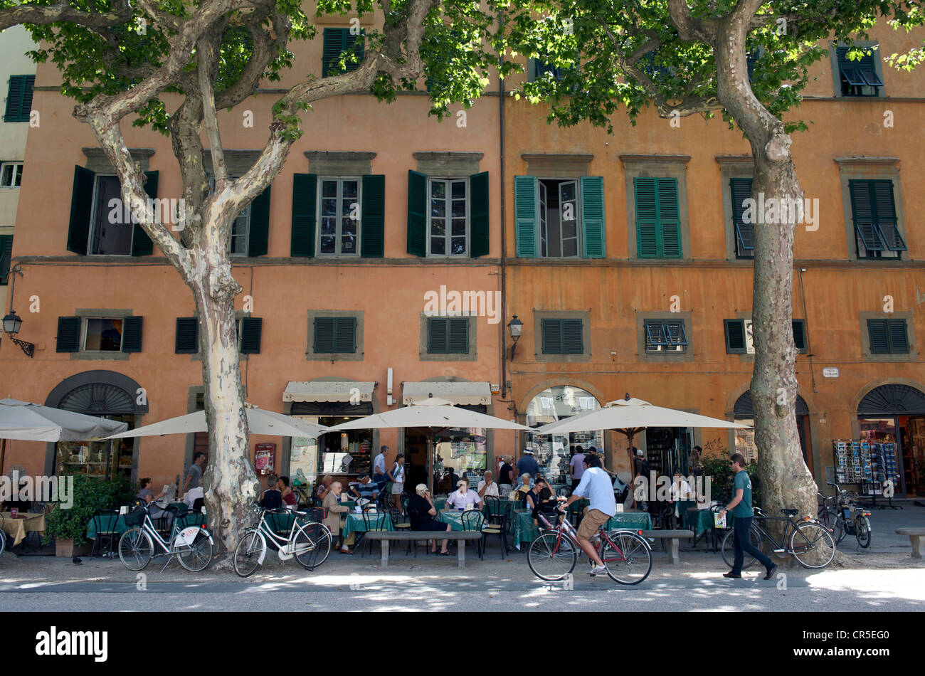 Italie, Toscane, Lucca, la Piazza Napoleone Banque D'Images