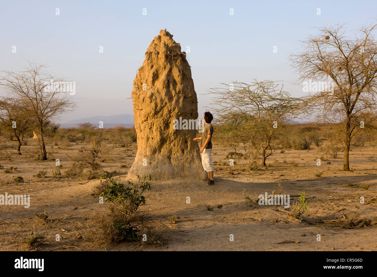 Au Kenya, la Vallée du Rift, le lac Magadi, termitière Banque D'Images