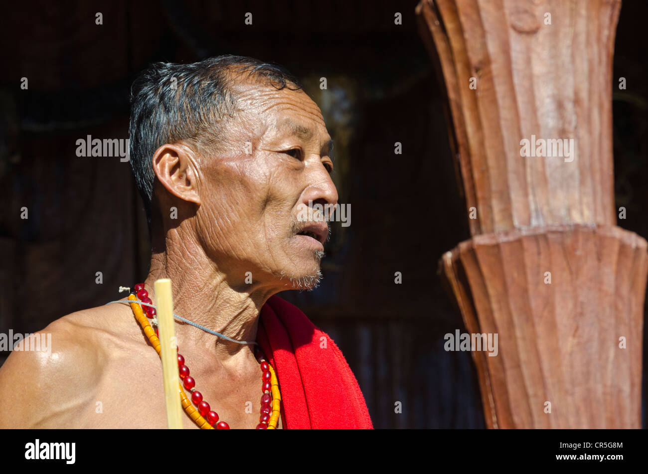 Visiteur de la Hornbill Festival, Nagaland, l'Inde, l'Asie Banque D'Images