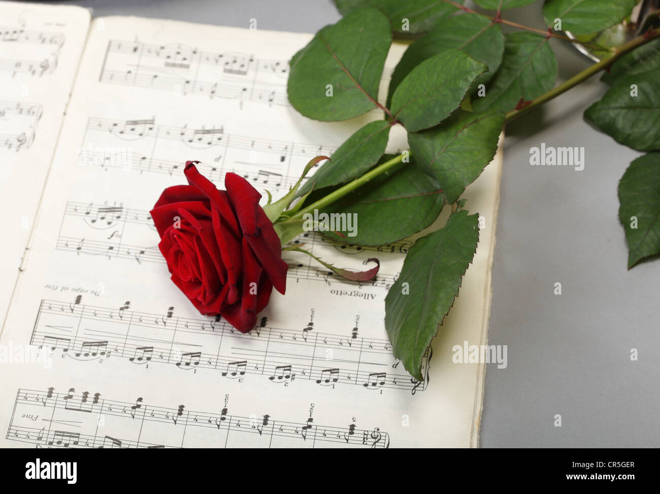 Rose rouge et vieux note notes aime la musique contexte Banque D'Images