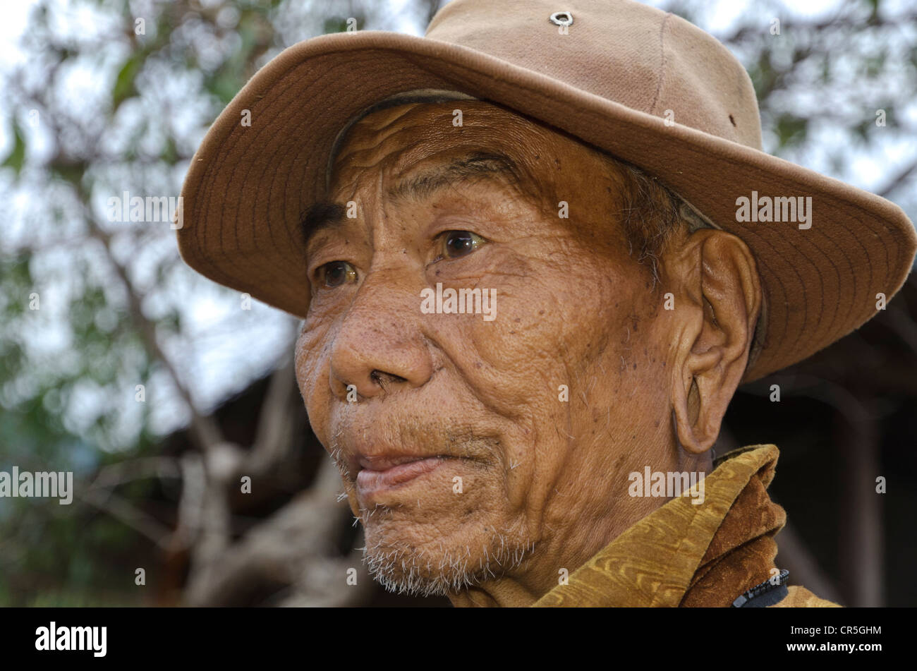 Vieil homme de la tribu Nishi, portrait, Peni village, de l'Arunachal Pradesh, Inde, Asie Banque D'Images