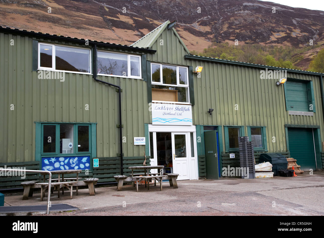 L'administration centrale et des mollusques lochleven café restaurant le Loch Leven ecosse uk Banque D'Images