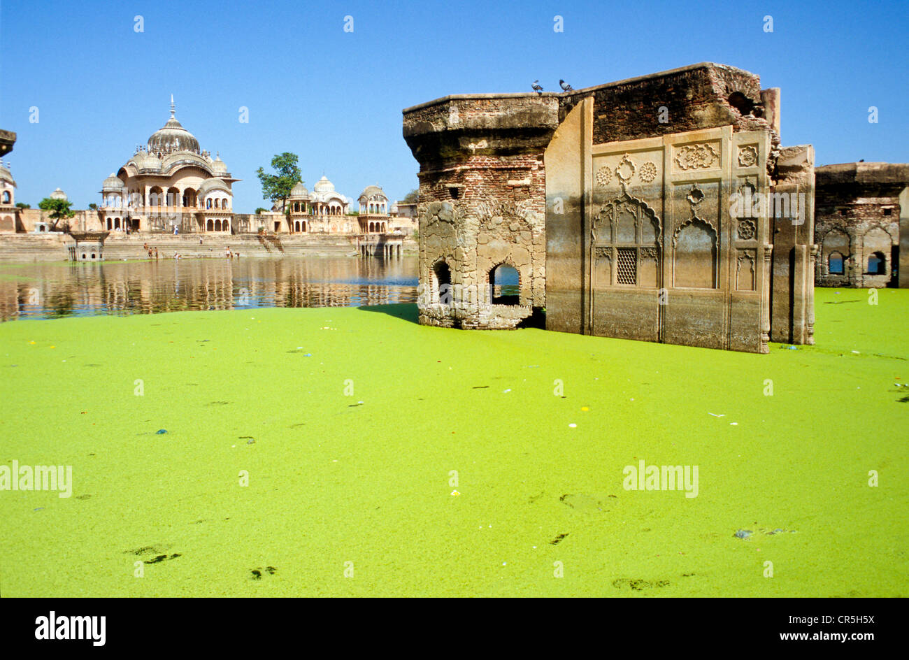 Kusum Sarowar, Krishna important place près de Mathura, Uttar Pradesh, Inde, Asie Banque D'Images