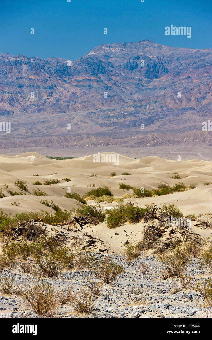 Dunes de sable, la Death Valley, Californie, USA. JMH5355 Banque D'Images