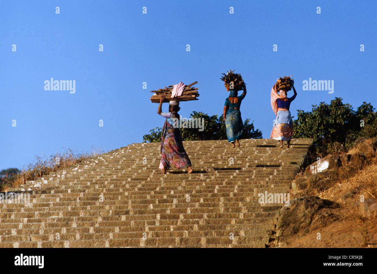 Des femmes portant des bois de la 3,500 mesures pour les temples de Shatrunjaya, Palitana, Gujarat, Inde, Asie Banque D'Images