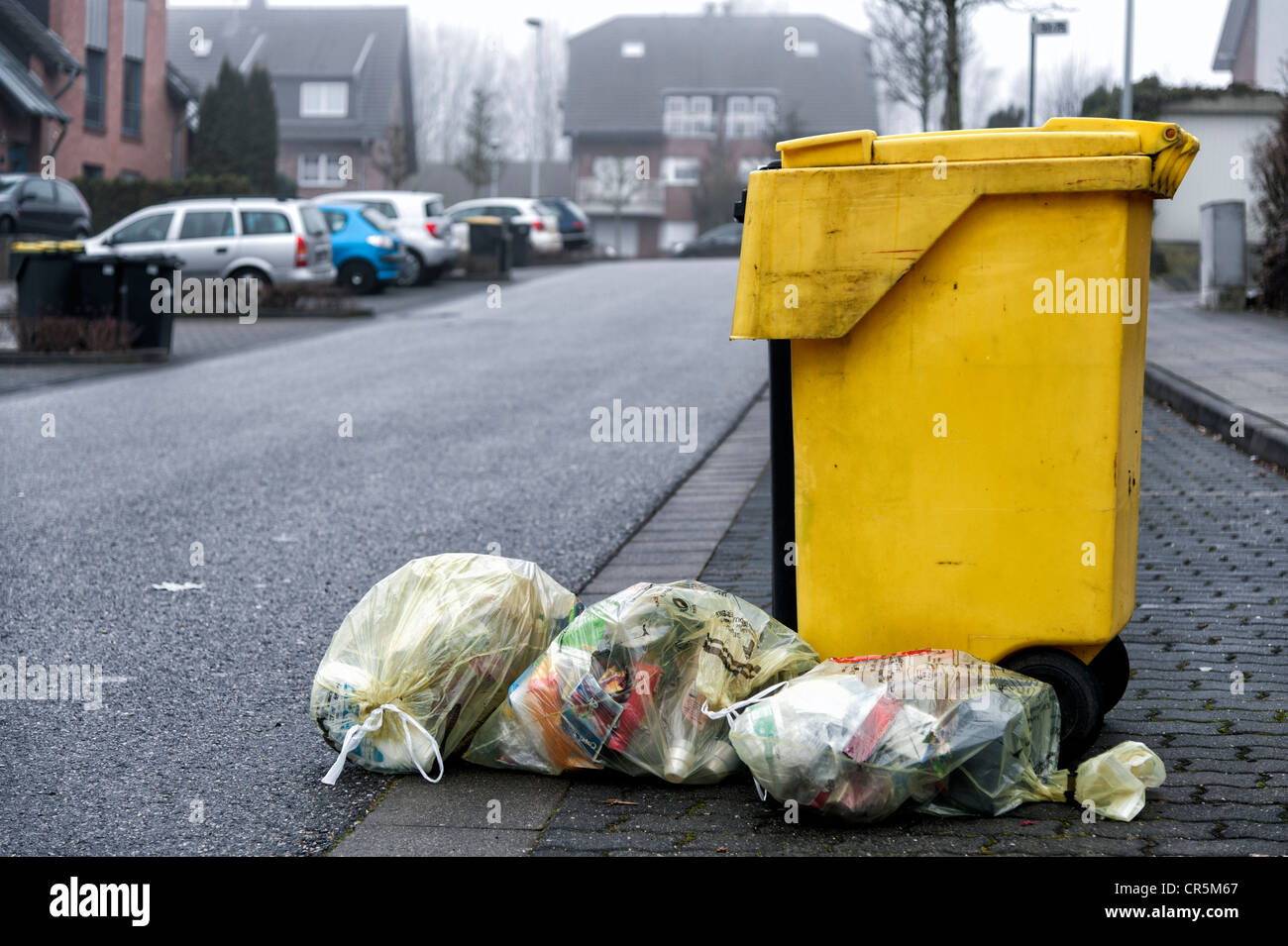 Bac de recyclage jaune et jaune des sacs de recyclage sur une rue, élimination des déchets, Grevenbroich, Rhénanie du Nord-Westphalie Banque D'Images