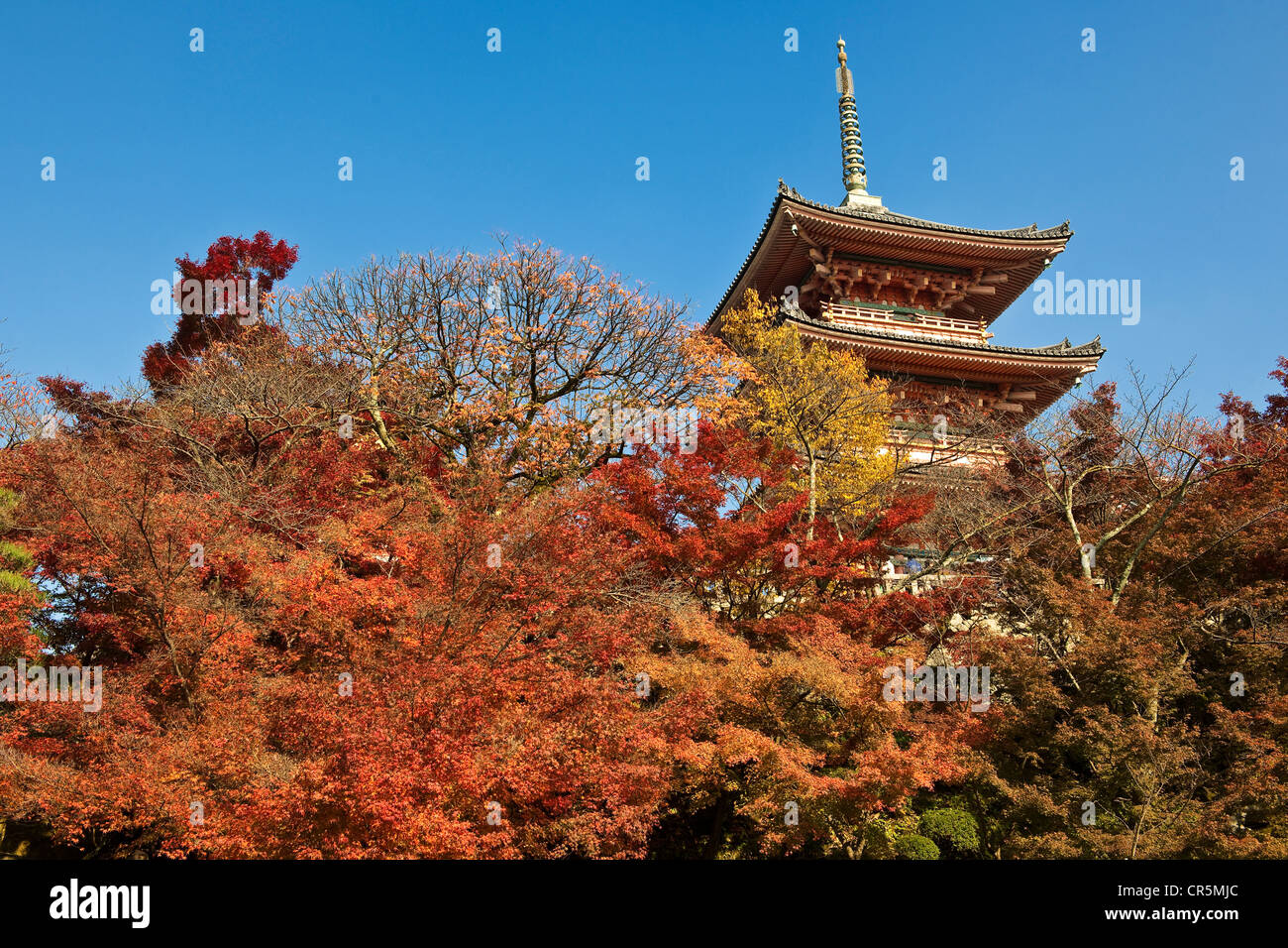 Le Japon, l'île de Honshu, la région de Kinki, ville de Kyoto, Temple Kiyomizu Dera Temple de l'eau claire ou au patrimoine mondial de l'UNESCO, fondée en Banque D'Images