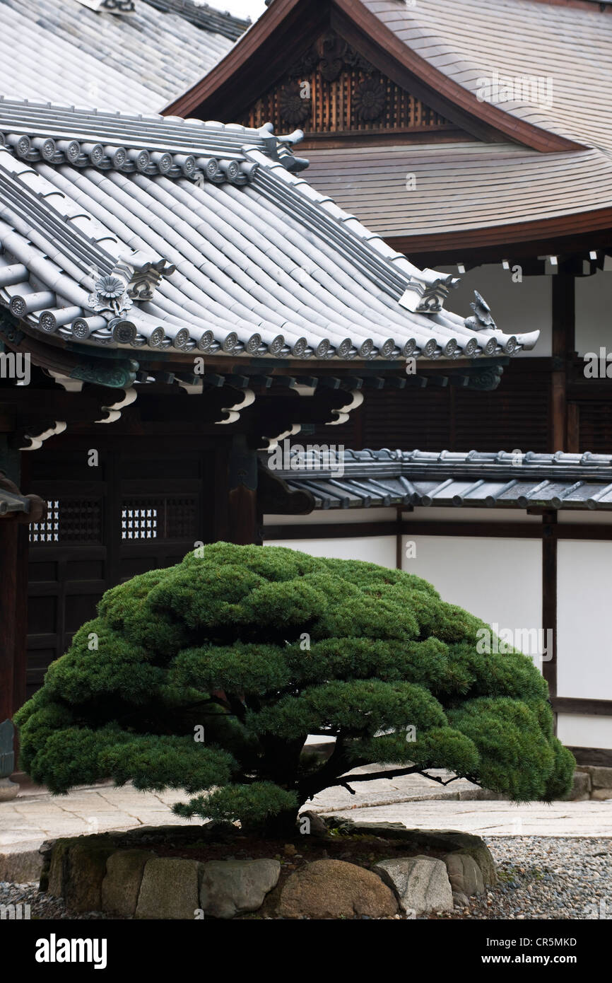 Le Japon, l'île de Honshu, la région de Kinki, ville de Kyoto, le Mausolée de Nishi Otani dans le district de la dera Kiyomizu Temple Banque D'Images