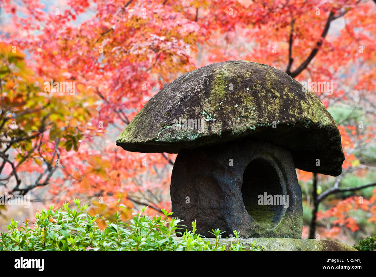 Le Japon, l'île de Honshu, la région de Kinki, ville de Kyoto, Temple Kiyomizu Dera Temple de l'eau claire ou au patrimoine mondial de l'UNESCO, fondée en Banque D'Images