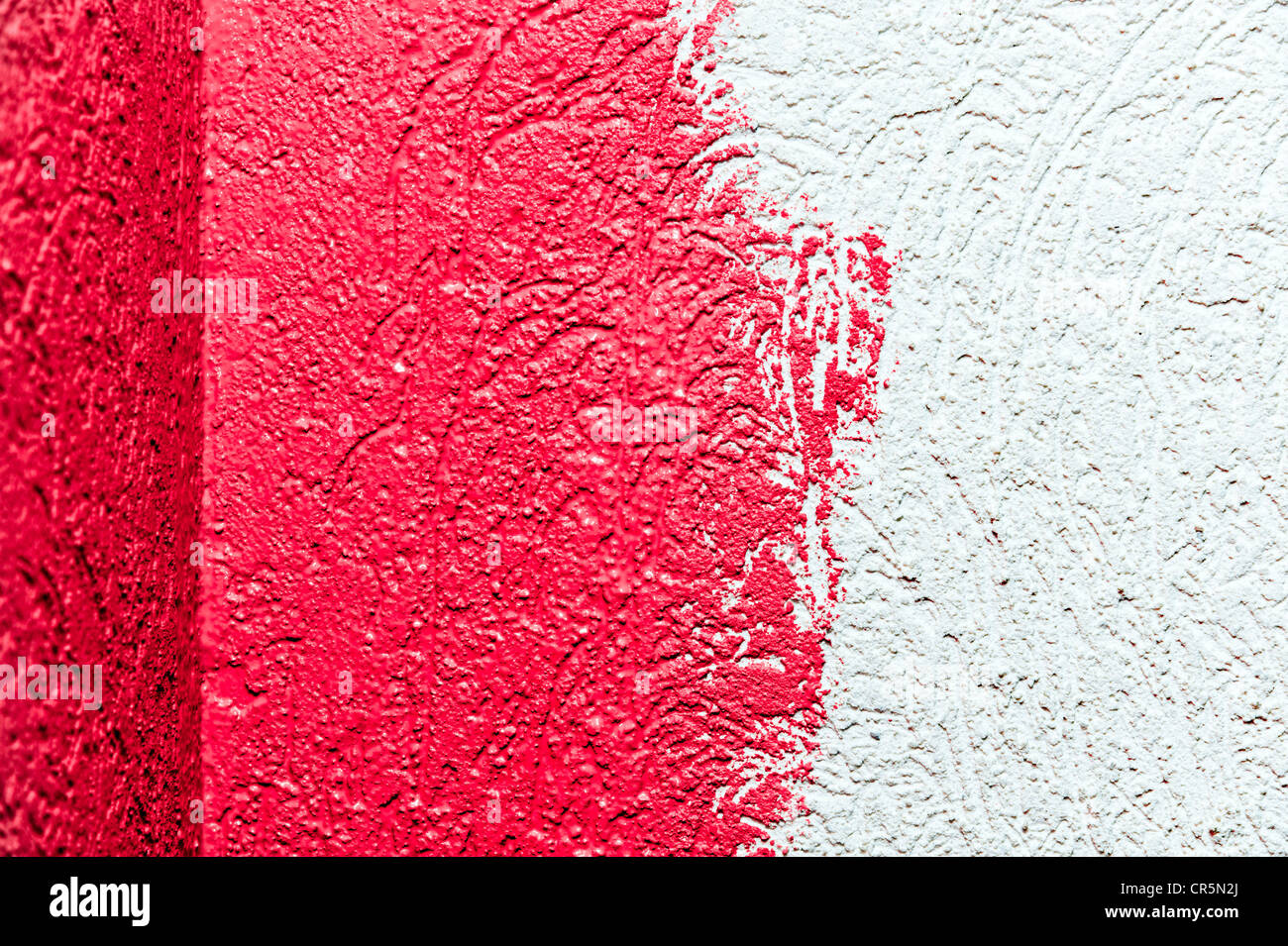 Mur Blanc avec nouvelle peinture rose Banque D'Images