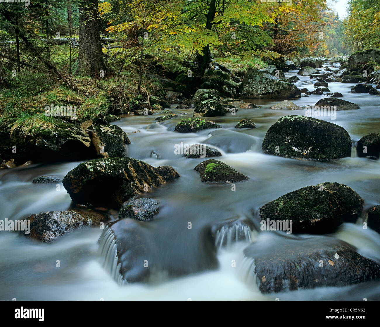 Kalte Bode, près de la ville de Heringsdorf, Parc National de Harz, Saxe-Anhalt, Allemagne, Europe Banque D'Images