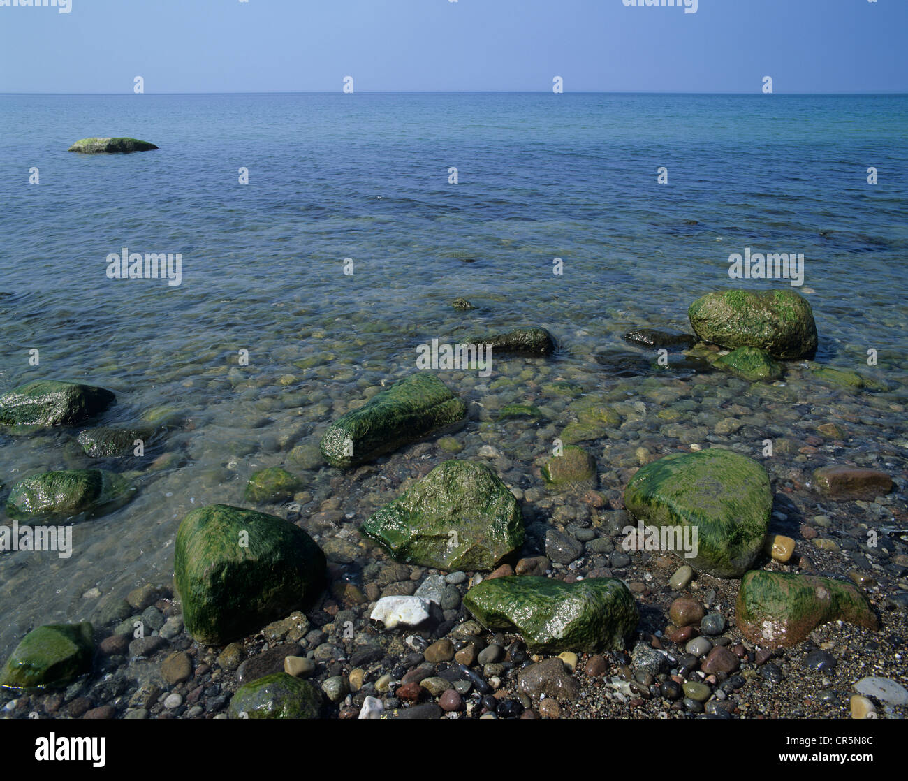 Plage de rochers à proximité de Ahrenshoop, Fischland, Mecklembourg-Poméranie-Occidentale, de la mer Baltique, l'Allemagne, de l'Europe Banque D'Images