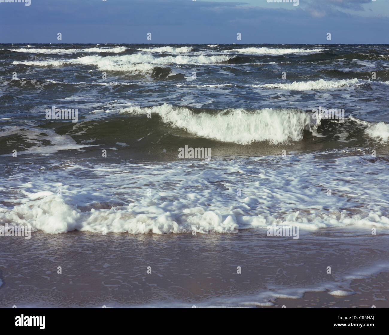 Les vagues, la mer Baltique, la plage ouest, Darss, Poméranie occidentale Lagoon Salon National Park, Mecklembourg-Poméranie-Occidentale Banque D'Images