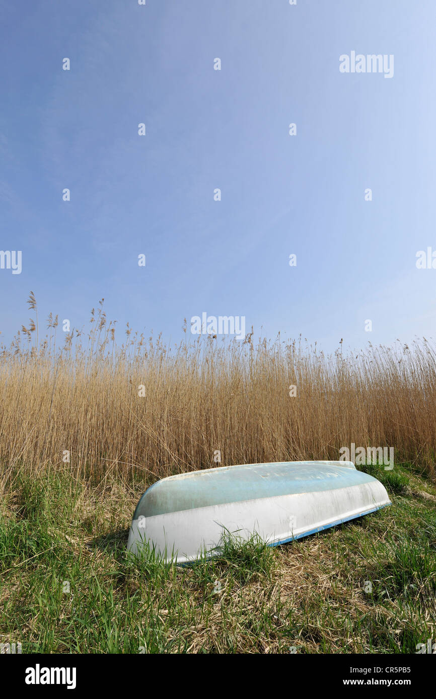 Petit bateau couché à l'envers sur une surface de roseaux et d'herbe sous un ciel bleu, avec l'espace dans le ciel pour le texte, Ruegen Banque D'Images