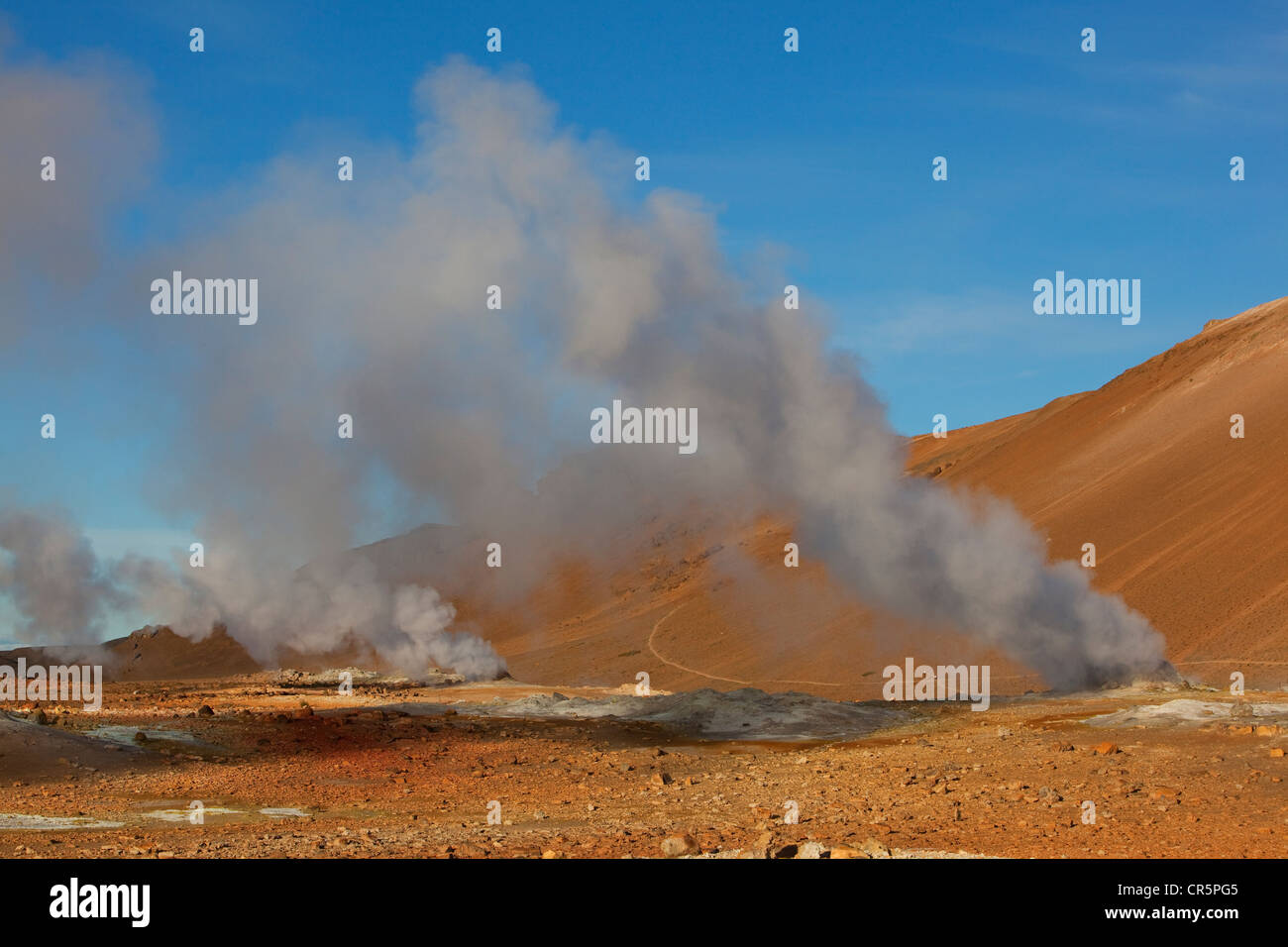 Solfataras Námafjall dans la région géothermique, 73320, Islande, Europe Banque D'Images