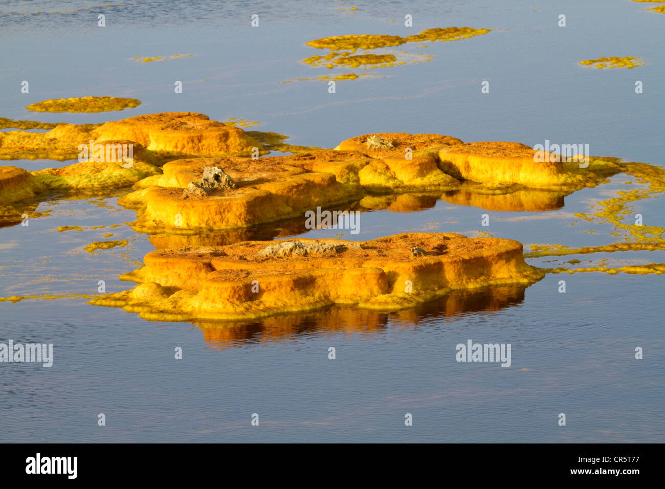 Formations de sulfure, dépression Danakil, Dallol, Ethiopie, Afrique Banque D'Images