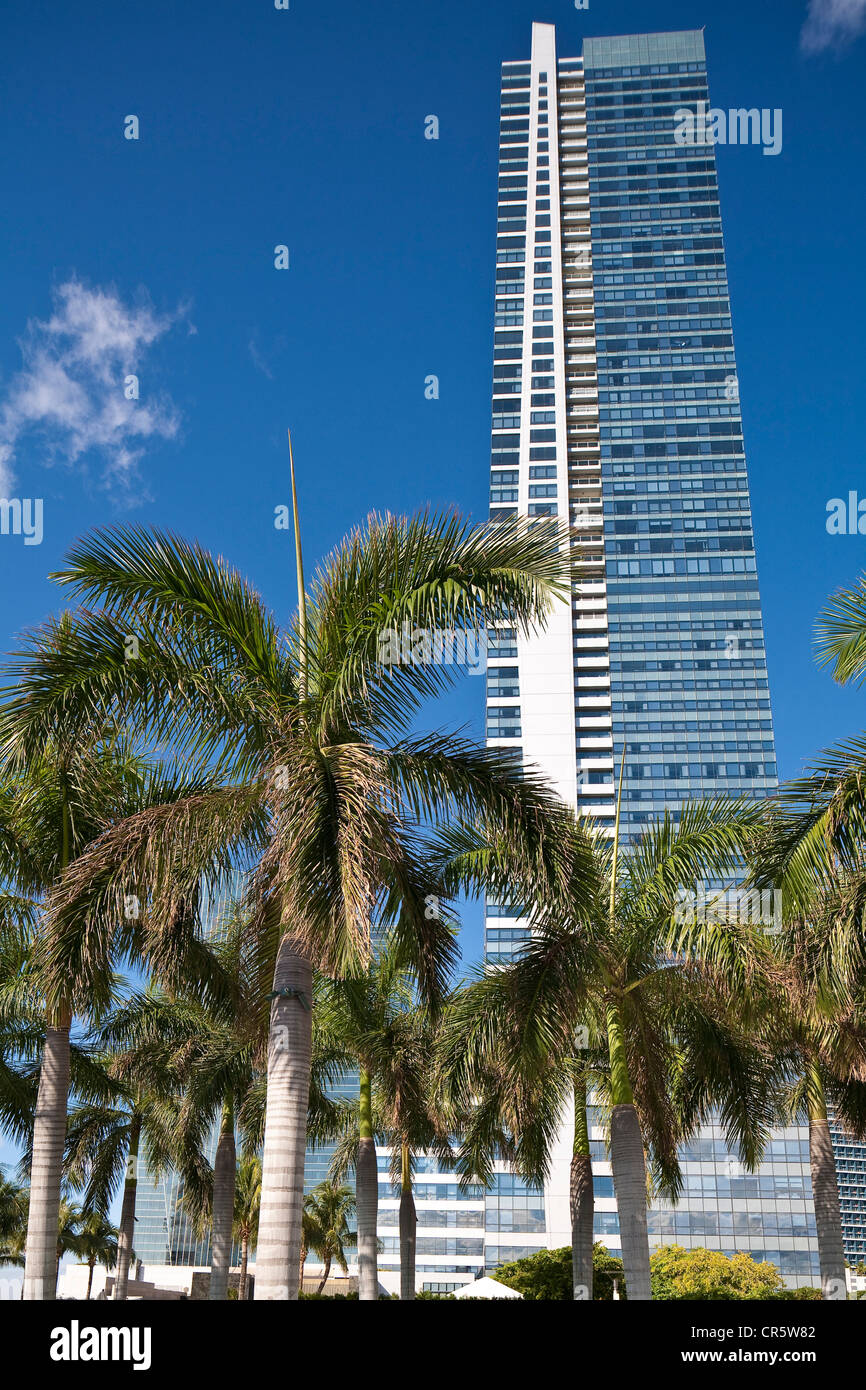 États-unis, Floride, Miami, le centre-ville, l'hôtel quatre saisons vue depuis la piscine Banque D'Images