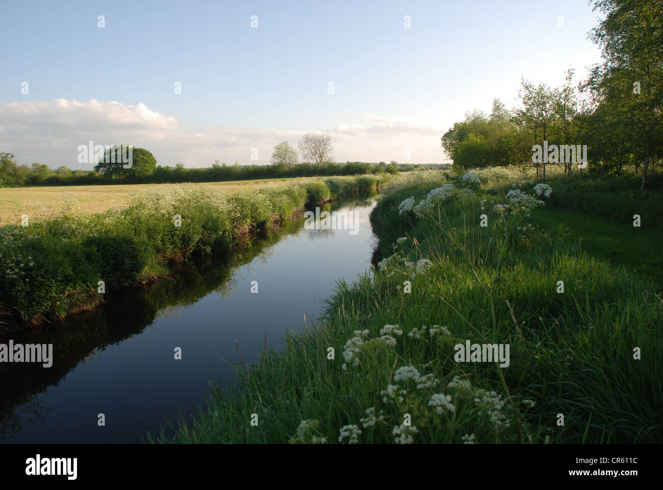 Les Six Mile River dans le comté d'Antrim un soir d'été. Photo par : Adam Alexander/Alamy Banque D'Images