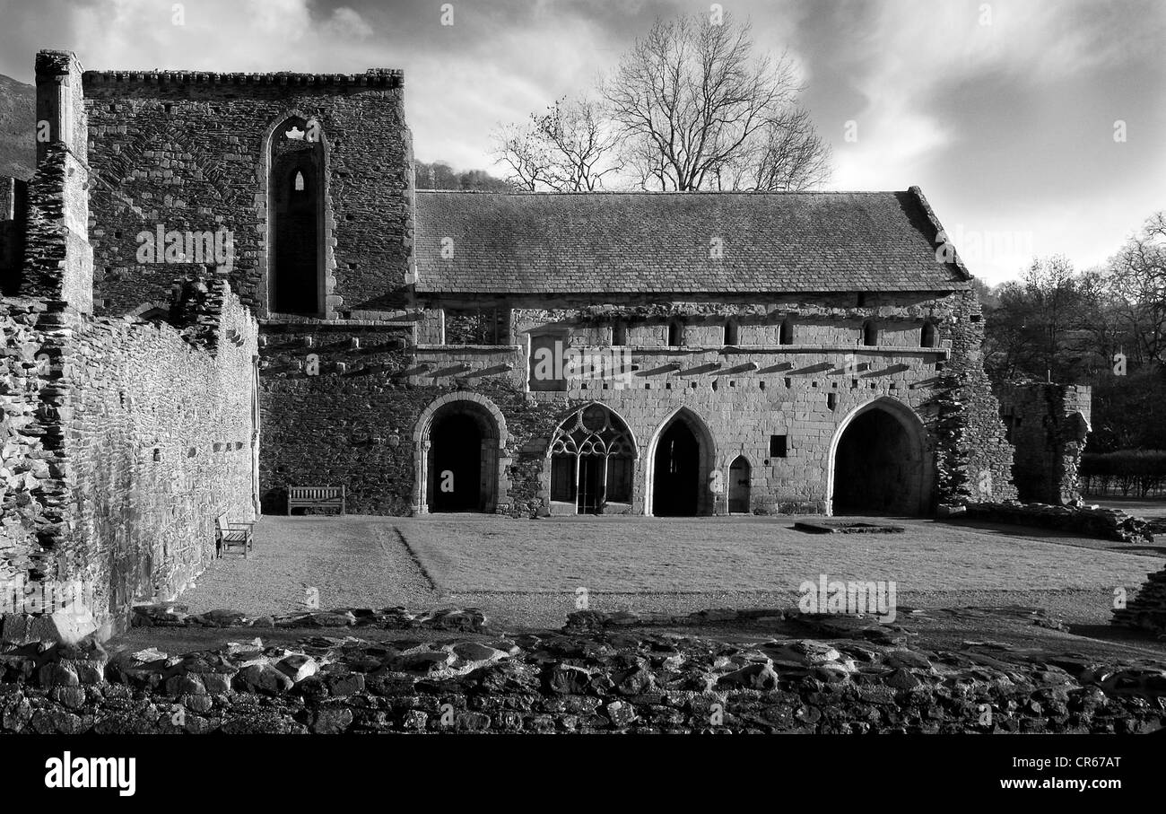 Abbaye Valle Crucis, Llangollen, Wales Banque D'Images