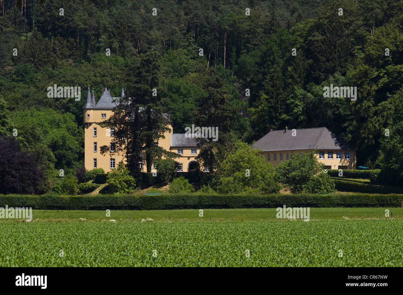 Schloss Strauweiler Château, propriété de la famille de Sayn-Wittgenstein-Berleburg, vallée de l'Dhuenn, Niestetal Banque D'Images