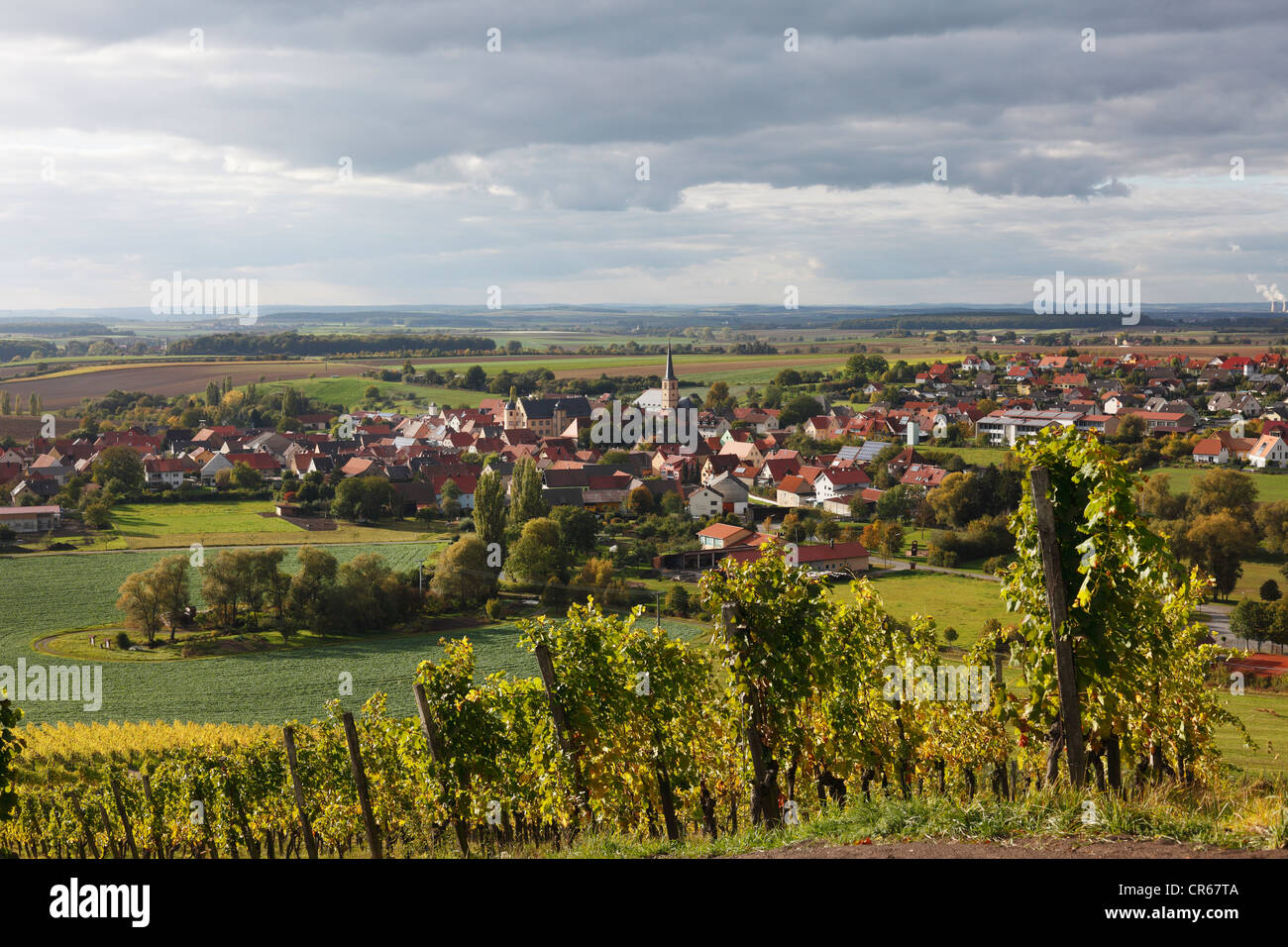 Allemagne, Bavière, Oberschwarzach, View of vineyard et construction Banque D'Images