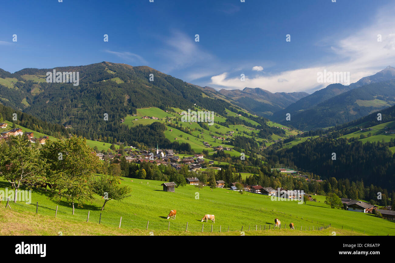 Autriche, Tyrol, vue sur Vallée Alpbachtal Banque D'Images