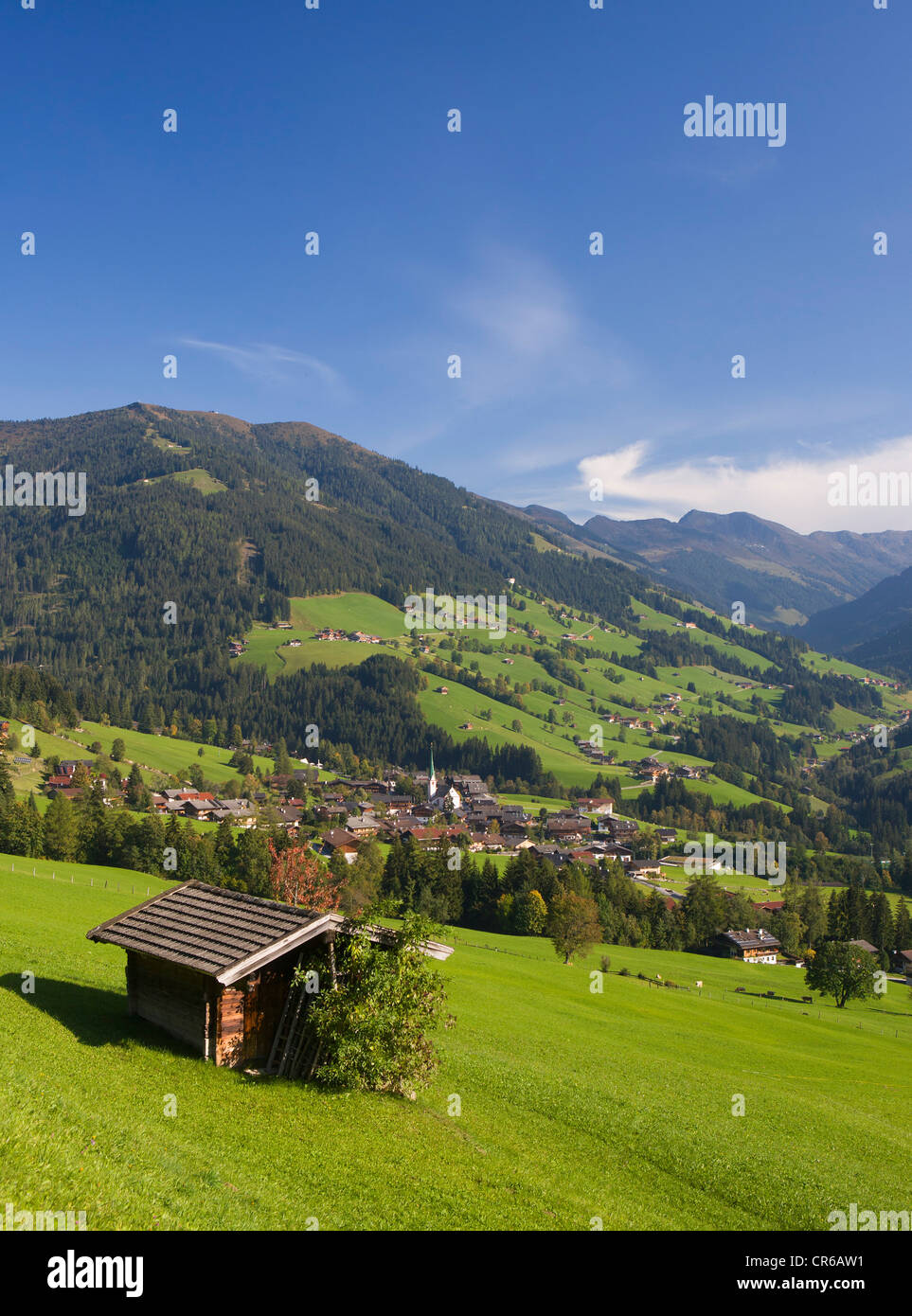 Autriche, Tyrol, vue sur Vallée de l'Alpbachtal et Alpach Banque D'Images