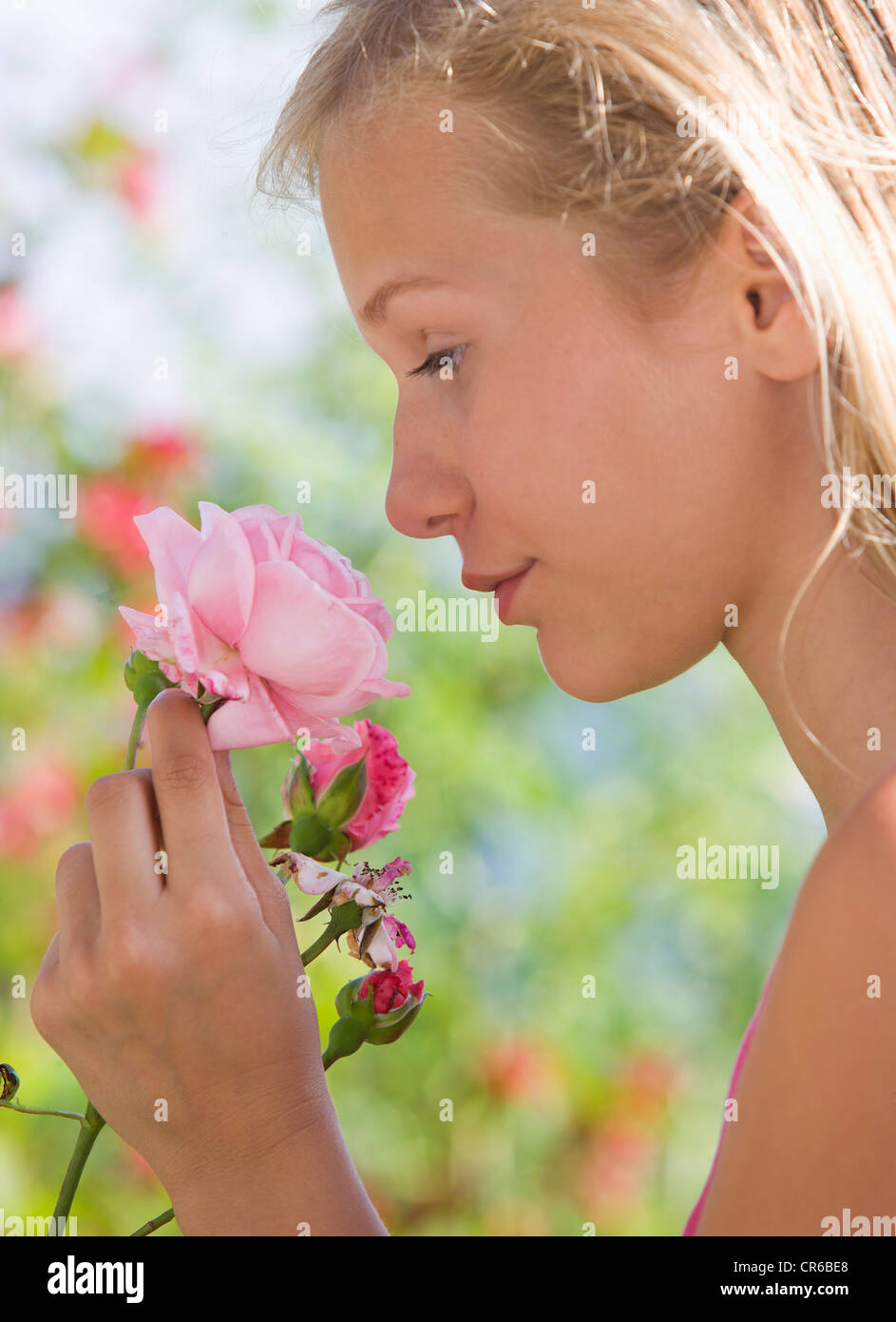 L'Autriche, Teenage girl smelling rose Banque D'Images