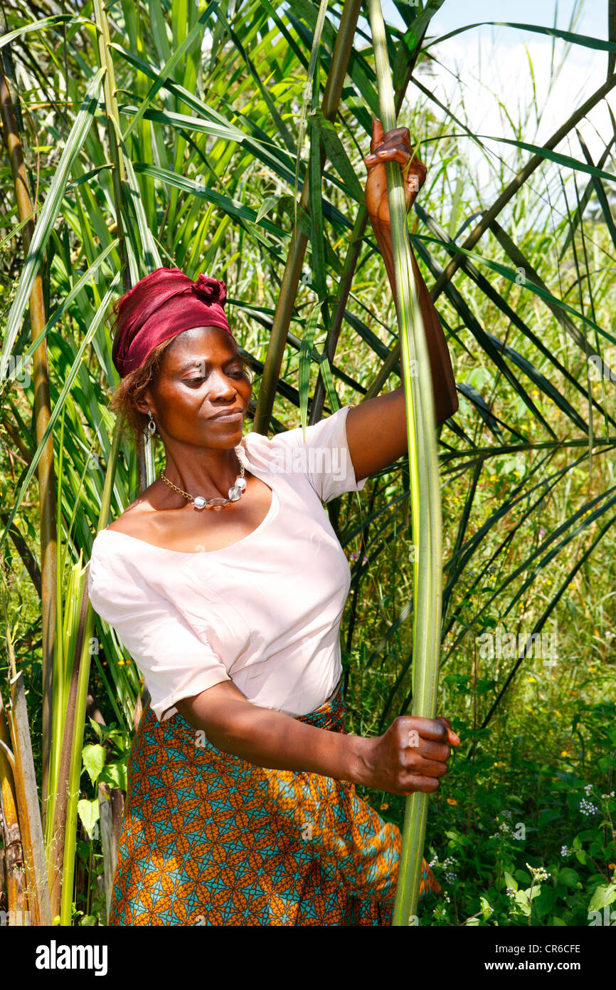 Rassemblement femme fibres naturelles pour la fabrication de tapis, de Bafut, napperon, Cameroun, Afrique Banque D'Images