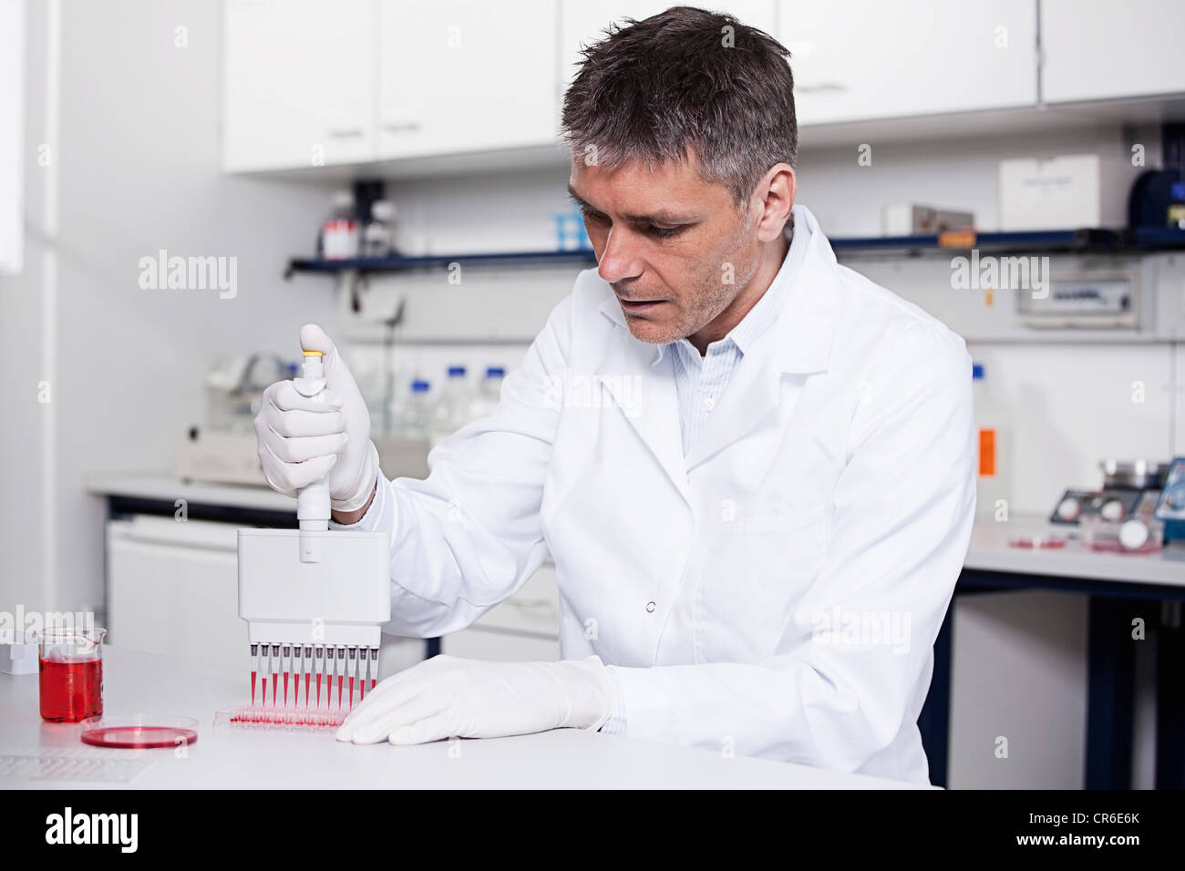 Germany, Bavaria, Munich, chemist liquide rouge à la pipette dans le bac d'essai en laboratoire pour la recherche médicale Banque D'Images