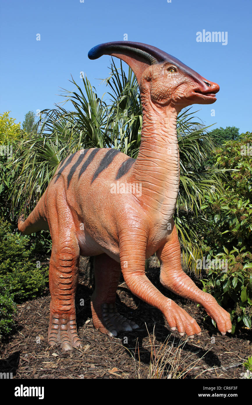 Parasaurolophus - une longue crête, dinosaure à bec de canard Banque D'Images