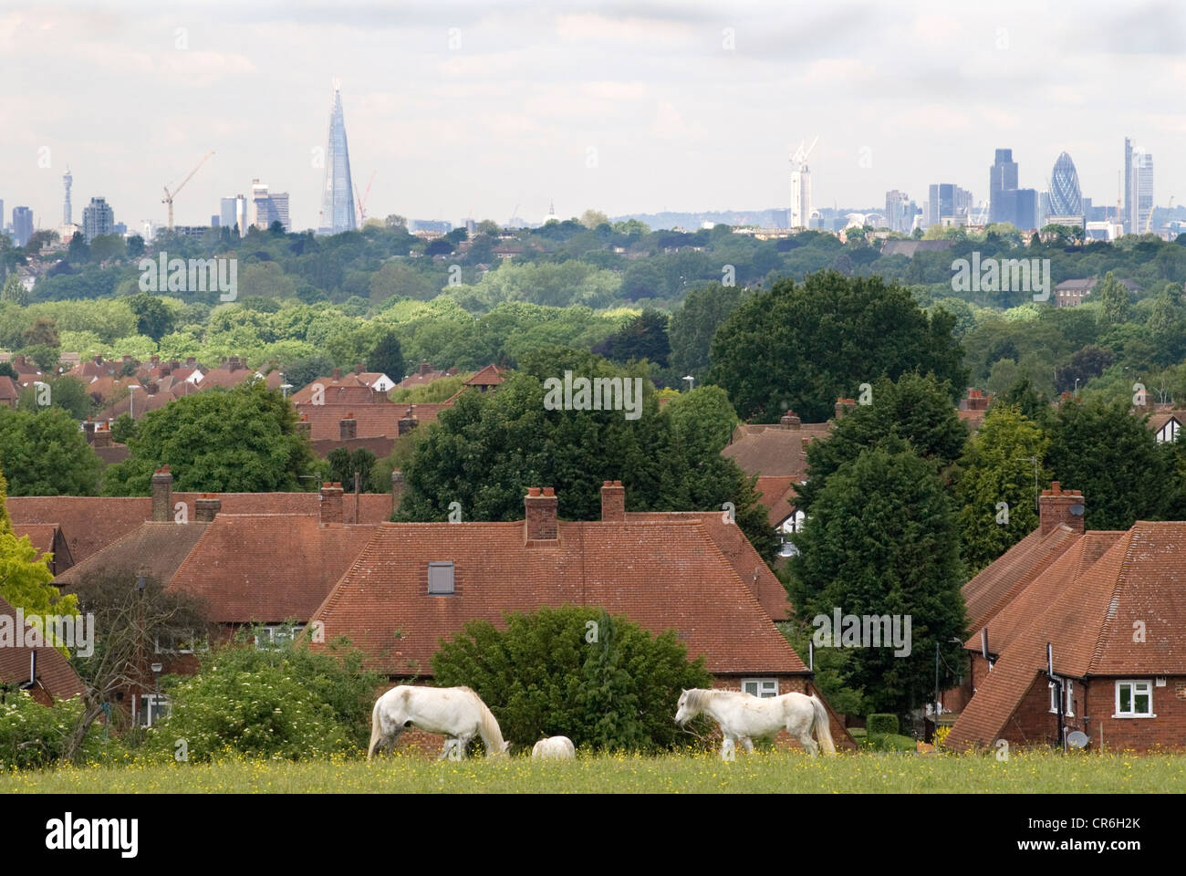 Urban Horse City of London skyline, de la banlieue sud-est de Londres The Shard, Post Office Tower, logement, maisons, vert Londres 2012 2010s UK HOMER SYKES Banque D'Images