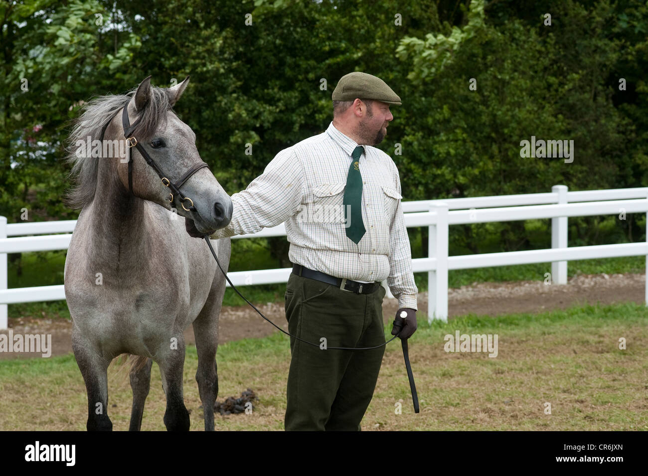 Cornwall, Angleterre, Royaume-Uni - homme menant à cheval horse show pays Banque D'Images