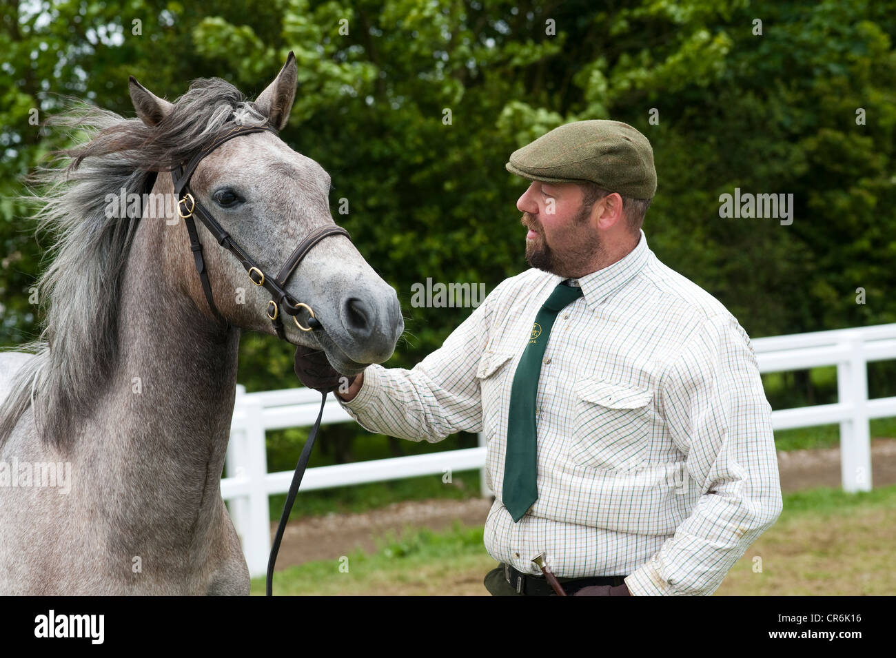Cornwall, Angleterre, Royaume-Uni - homme menant à cheval horse show pays Banque D'Images