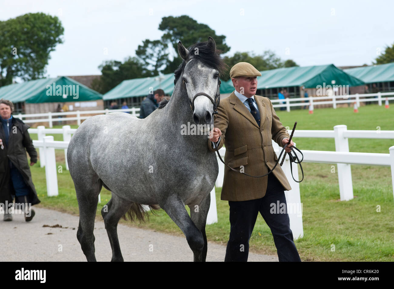 Cornwall, Angleterre, Royaume-Uni - homme menant à cheval horse show pays Banque D'Images