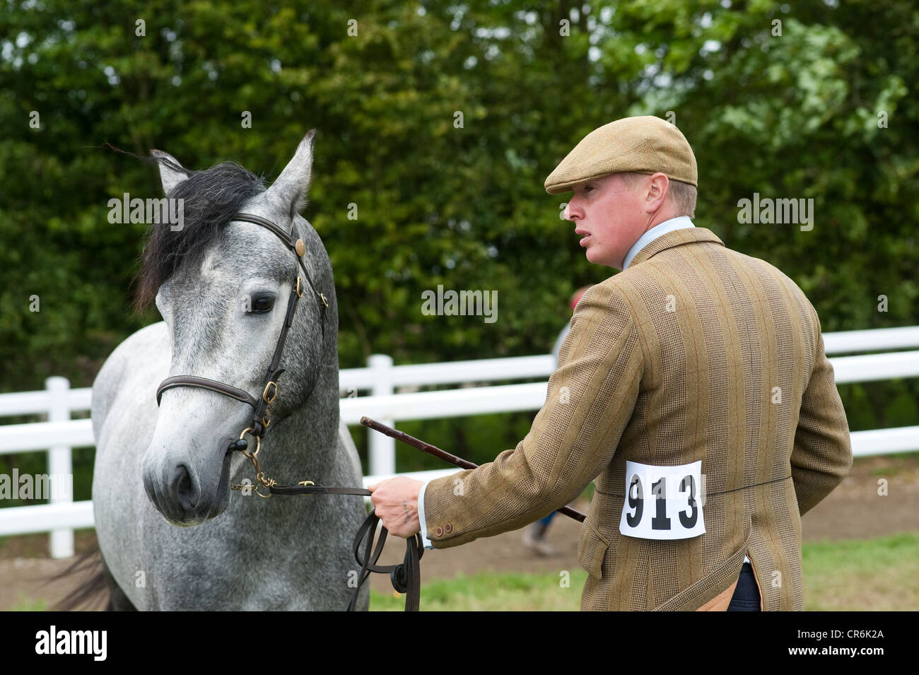 Cornwall, Angleterre, Royaume-Uni - homme menant à cheval horse show pays Banque D'Images