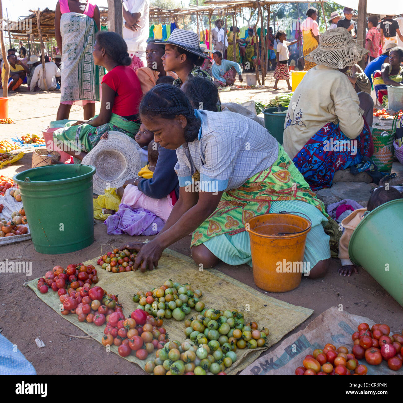 Femme vendant des tomates à jour de marché, village près de Berenty Réserve, Madagascar Banque D'Images