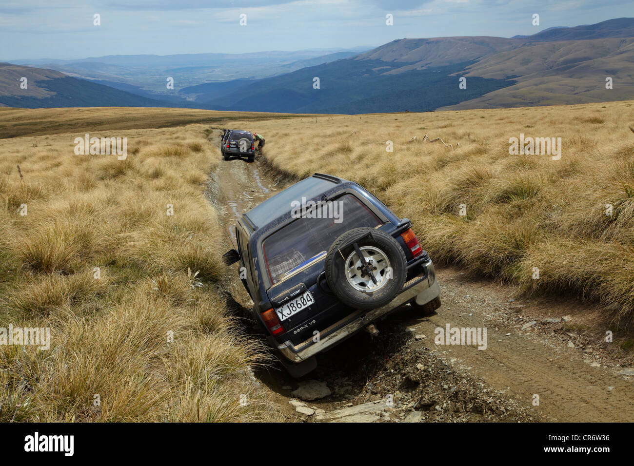 4WDs sur Waikaia Voie Bush, vieil homme Gamme, Southland, île du Sud, Nouvelle-Zélande Banque D'Images