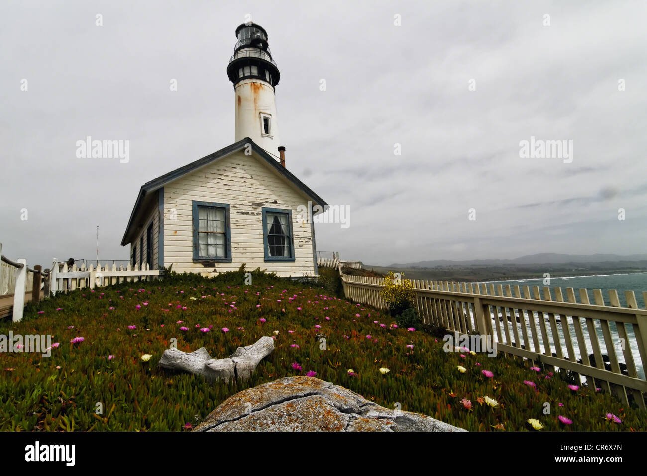 Low Angle View of the Pigeon Point Lighthouse avec des fleurs sauvages et des os de baleines, Comté de San Mateo, Californie Banque D'Images