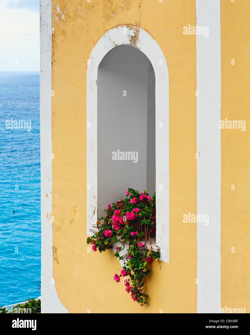 Fleur en fenêtre, à la mer, Positano, Campanie, Italie Banque D'Images