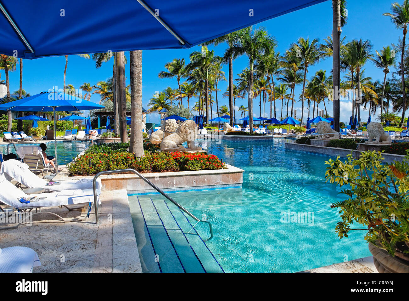 Vue de la piscine sous un parasol, Ritz-Carlton Resort, San Juan Puerto Rico Banque D'Images