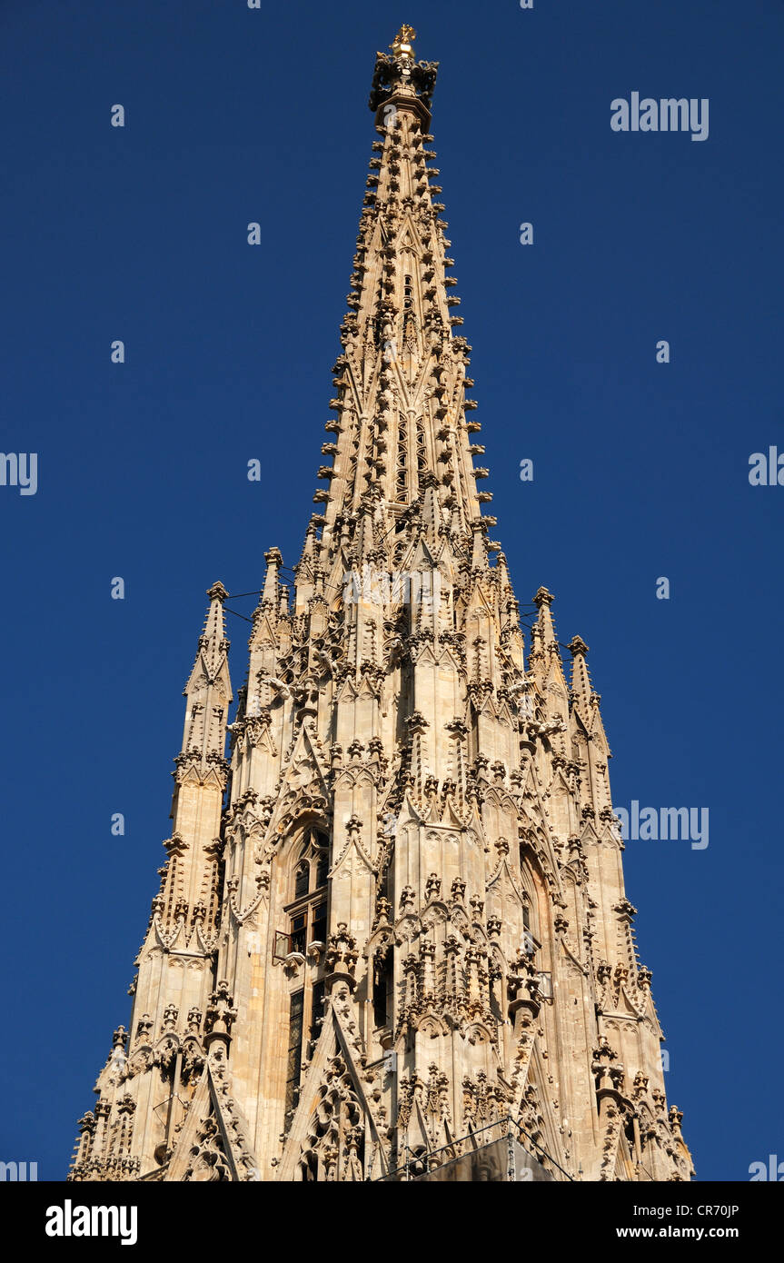 Flèche gothique de Stephansdom, la cathédrale St Stephen, contre le ciel bleu, Stephansplatz, Vienne, Autriche, Europe Banque D'Images