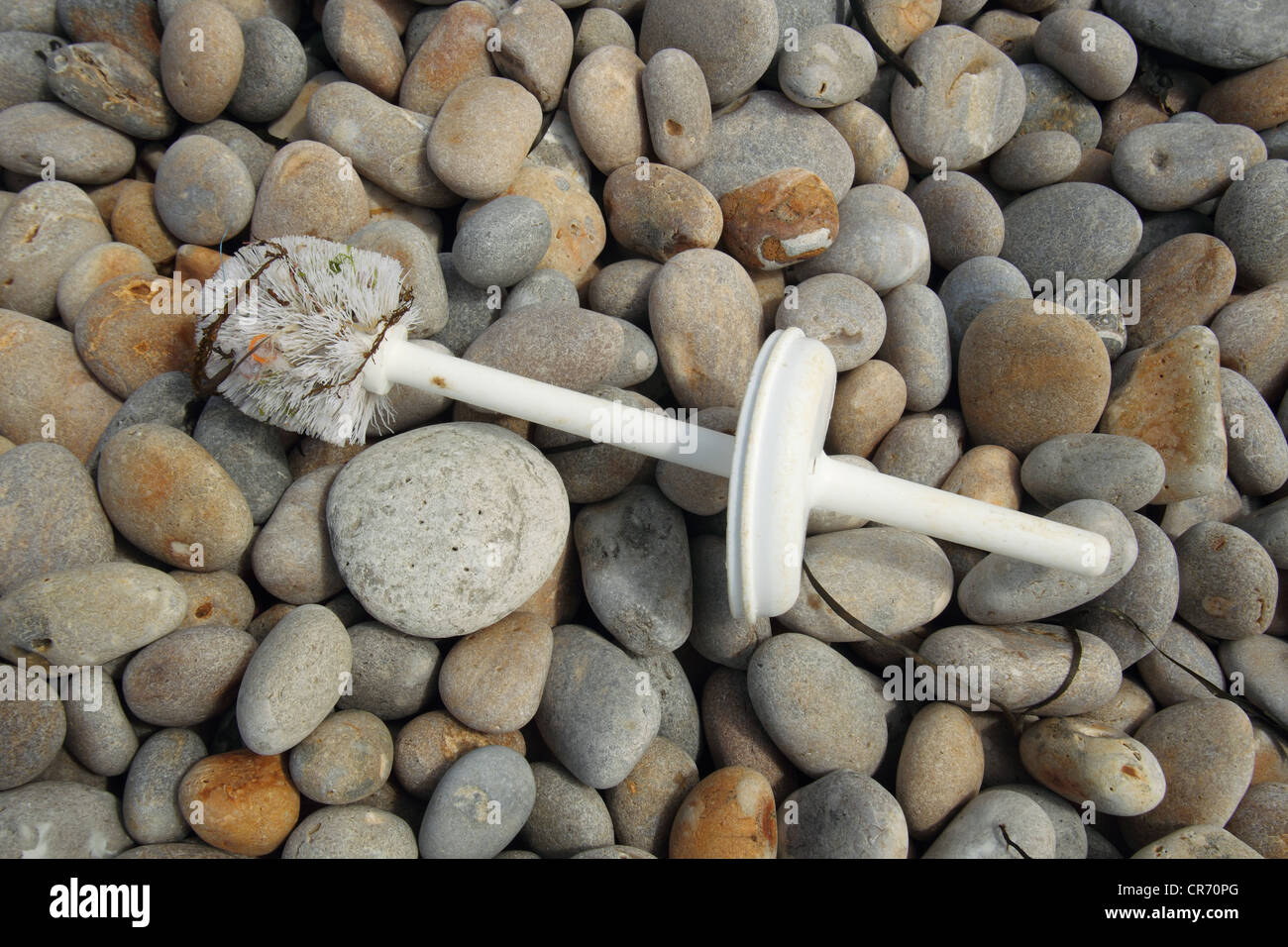 Brosse wc en plastique , plage de Chesil Dorset, juin. Banque D'Images