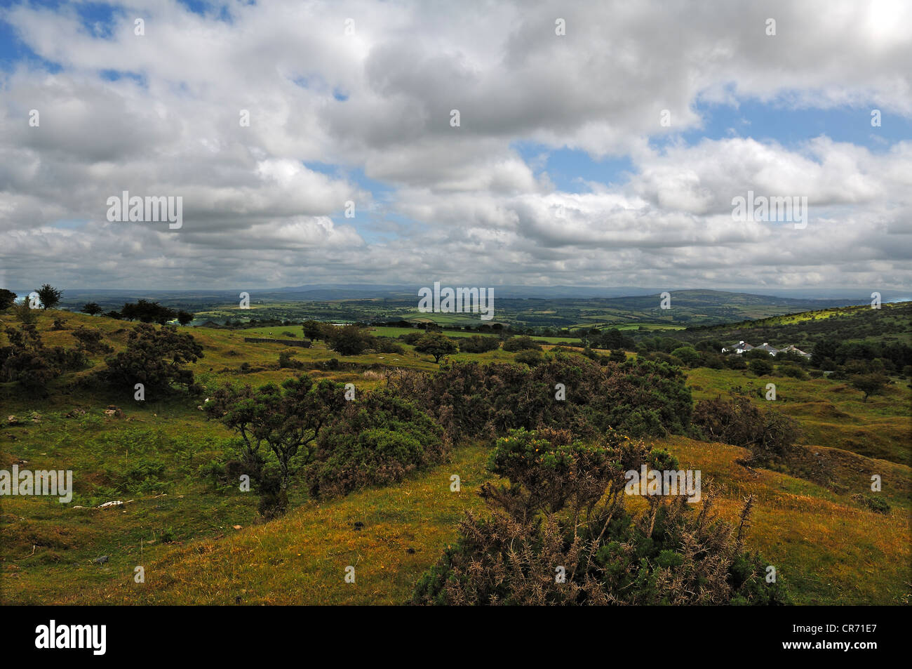 Paysage sur le Dartmoor près de larbins, Dartmoor, Cornwall, Angleterre, Royaume-Uni, Europe Banque D'Images